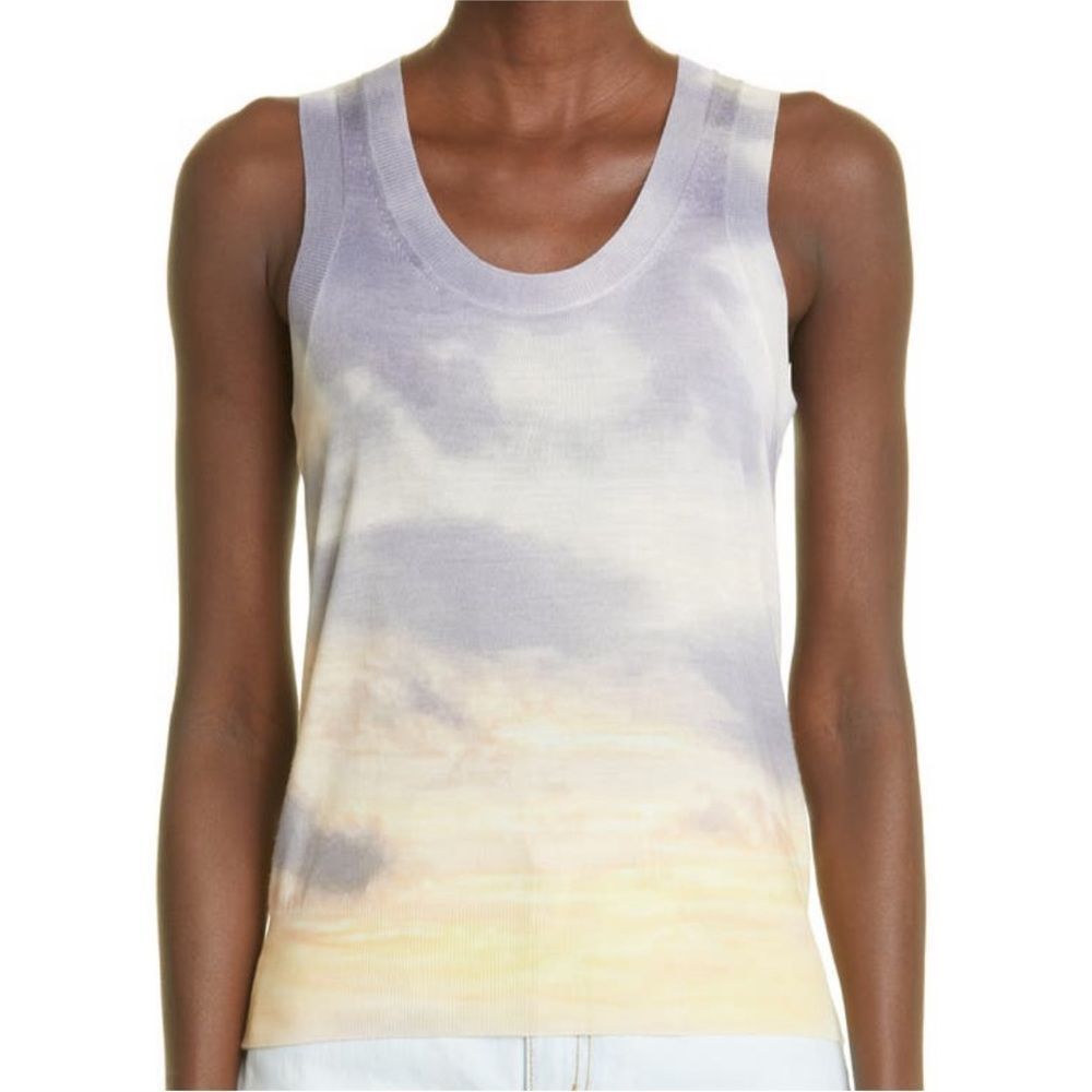 Alexander McQueen Daybreak sleeveless wool and silk sweater